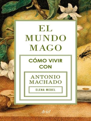 cover image of El mundo mago